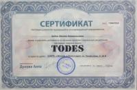 Сертификат школы Todes