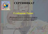 Сертификат о прохождении мастер-класса по развитию детей